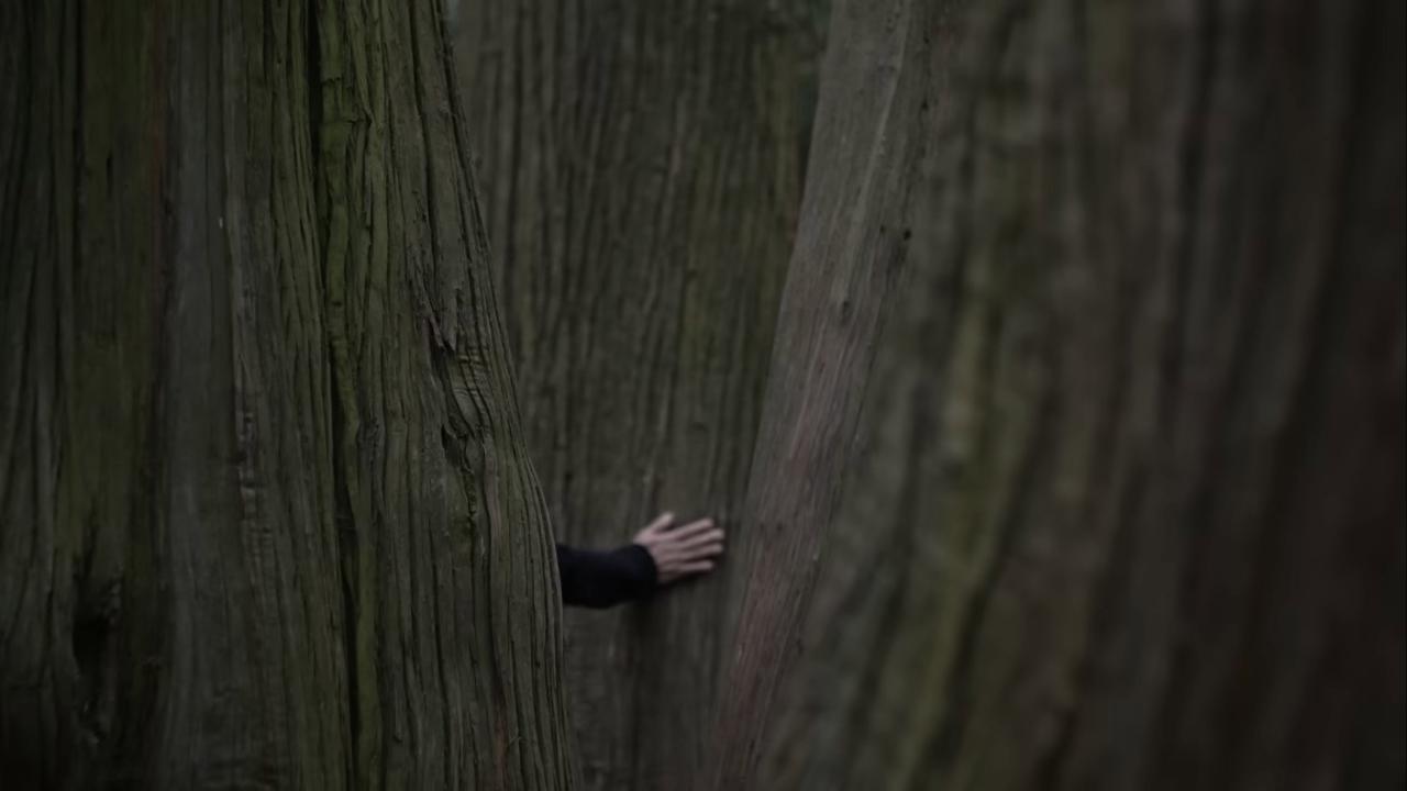 detail-filmu